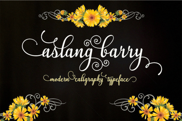 Aslang Barry: A Modern Calligraphy Typeface for Elegant Web Design