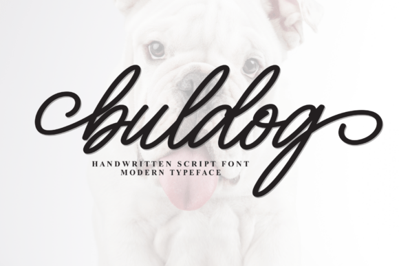 Buldog: A Premium Script Font for Editorial Design