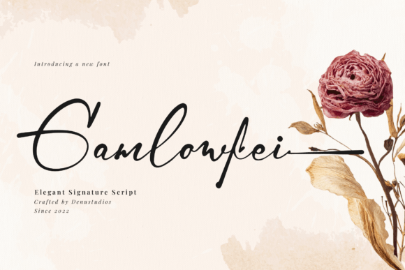 Enhance Your Web Design with Gamlowfei Font