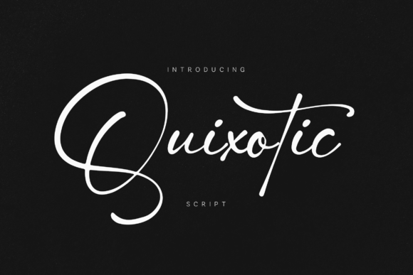 Quixotic: A Whimsical Font for Professional Branding